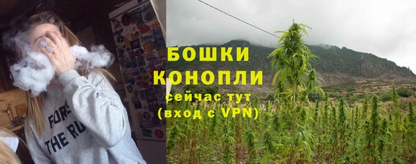 хмурый Балабаново