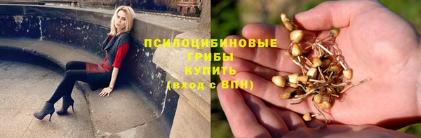 скорость Балахна