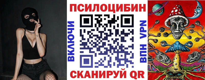 omg tor  Гороховец  Псилоцибиновые грибы прущие грибы 