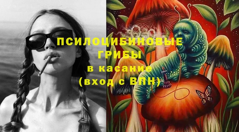 Галлюциногенные грибы Psilocybe  как найти наркотики  Гороховец 